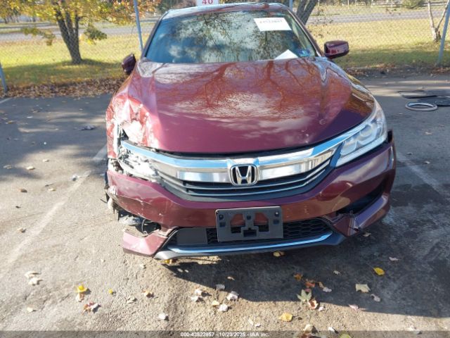 Honda Accord Ex-l Image 14