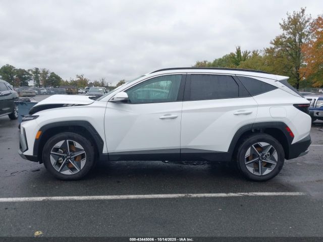 Hyundai TUCSON Sel Convenience Image 12