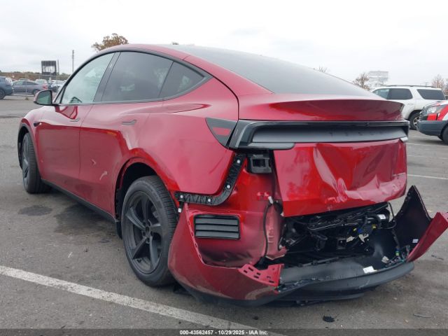 Tesla Model Y Image 13