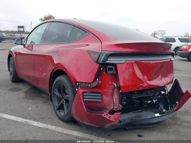 Tesla Model Y Image 13
