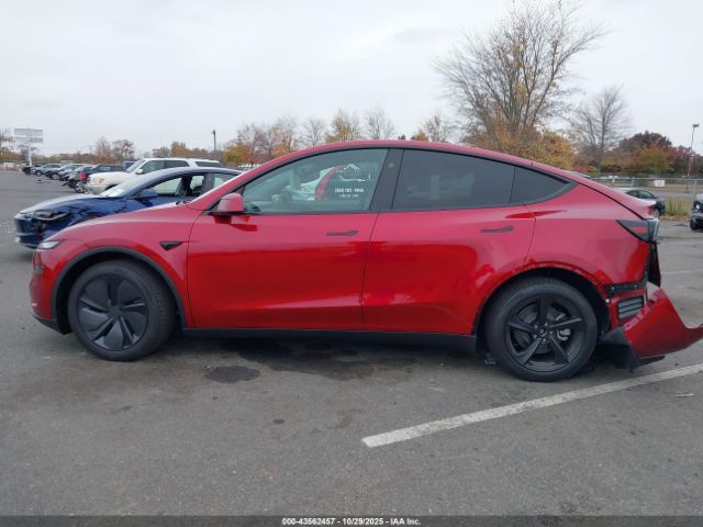 Tesla Model Y Image 6