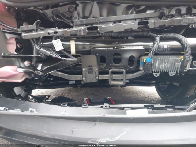 Tesla Model Y Image 7