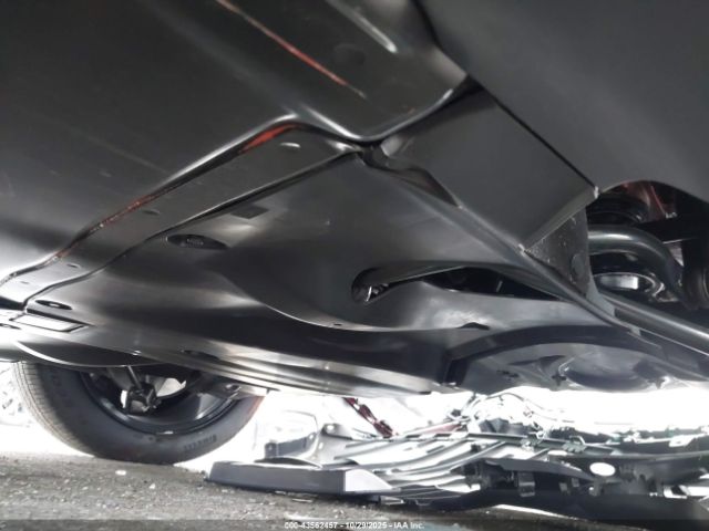 Tesla Model Y Image 3