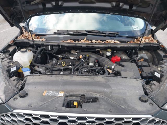 Ford Edge Sel Image 13