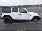 Jeep Wrangler Unlimited Sahara 4x4 Image 13