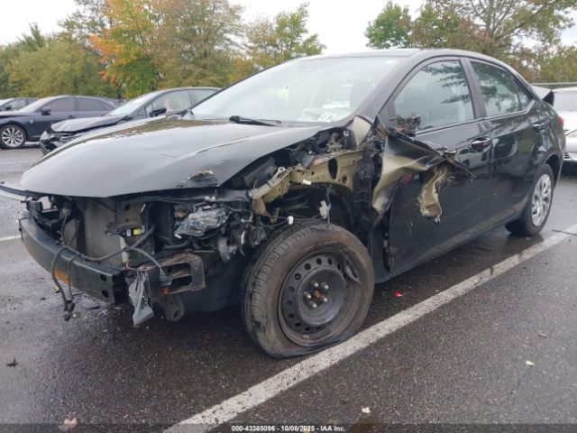 Toyota Corolla Le Image 3