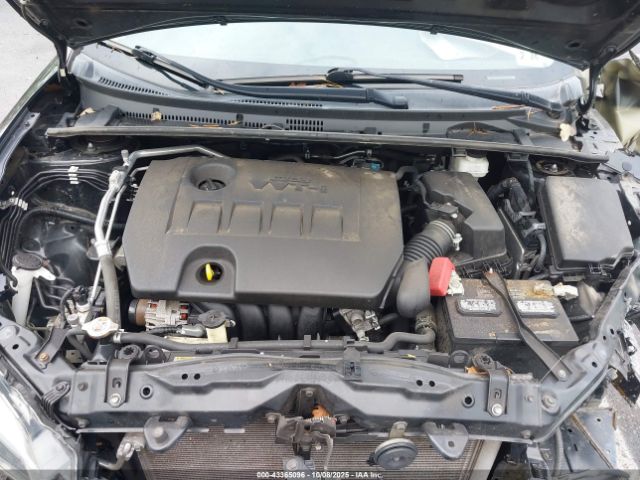 Toyota Corolla Le Image 13