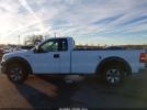 Ford F-150 Image 12
