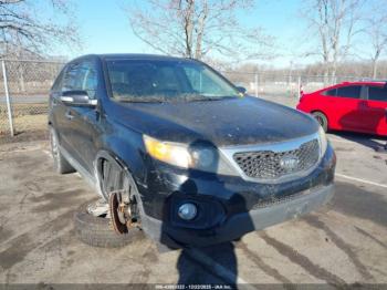  Salvage Kia Sorento