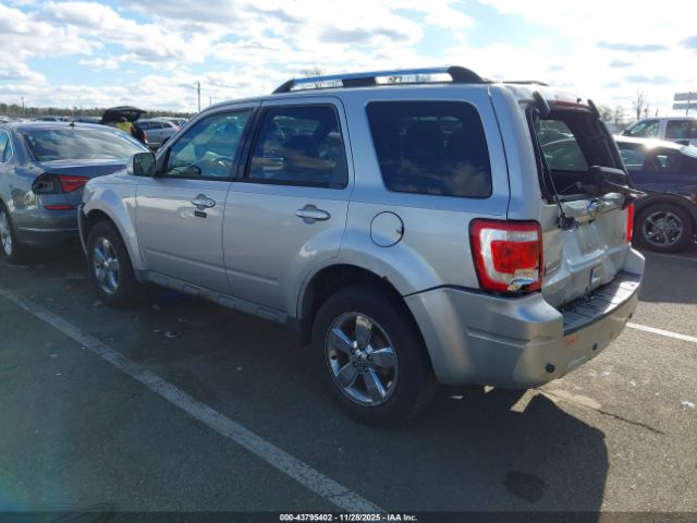 Ford Escape Limited Image 4