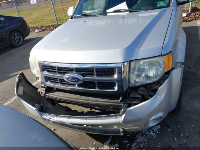 Ford Escape Limited Image 5