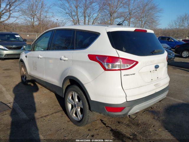 Ford Escape Se Image 5